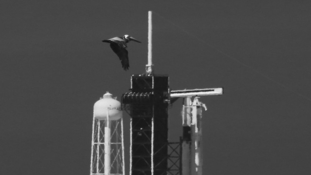 How fast does spacex travel?
